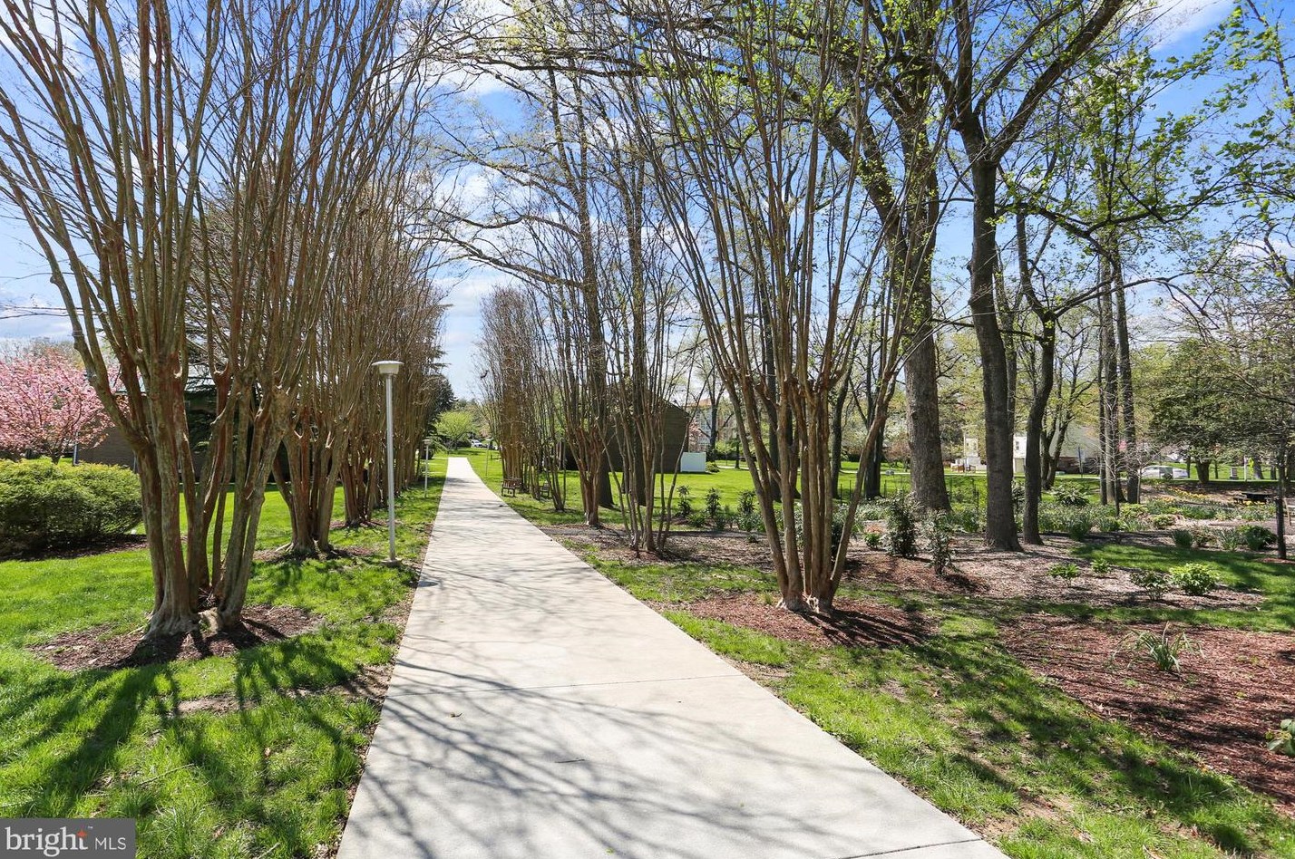 2921 Leisure World Blvd, Silver Spring MD  20906-1368 exterior