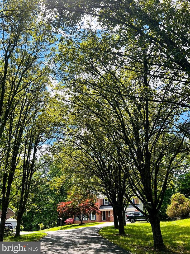 15604 Twin Valley Ct, Silver Spring, MD 20906-1042