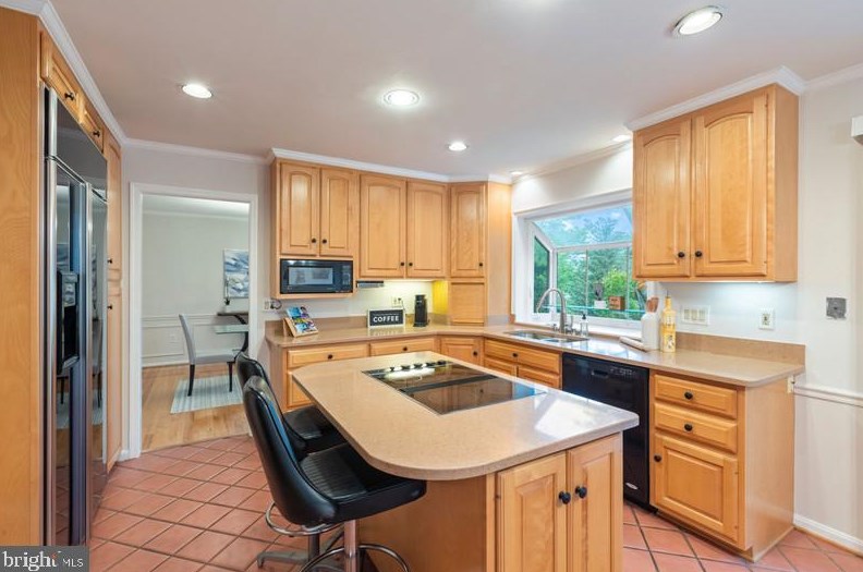 13219 Rippling Brk Dr, Silver Spring MD 20906-5314 exterior