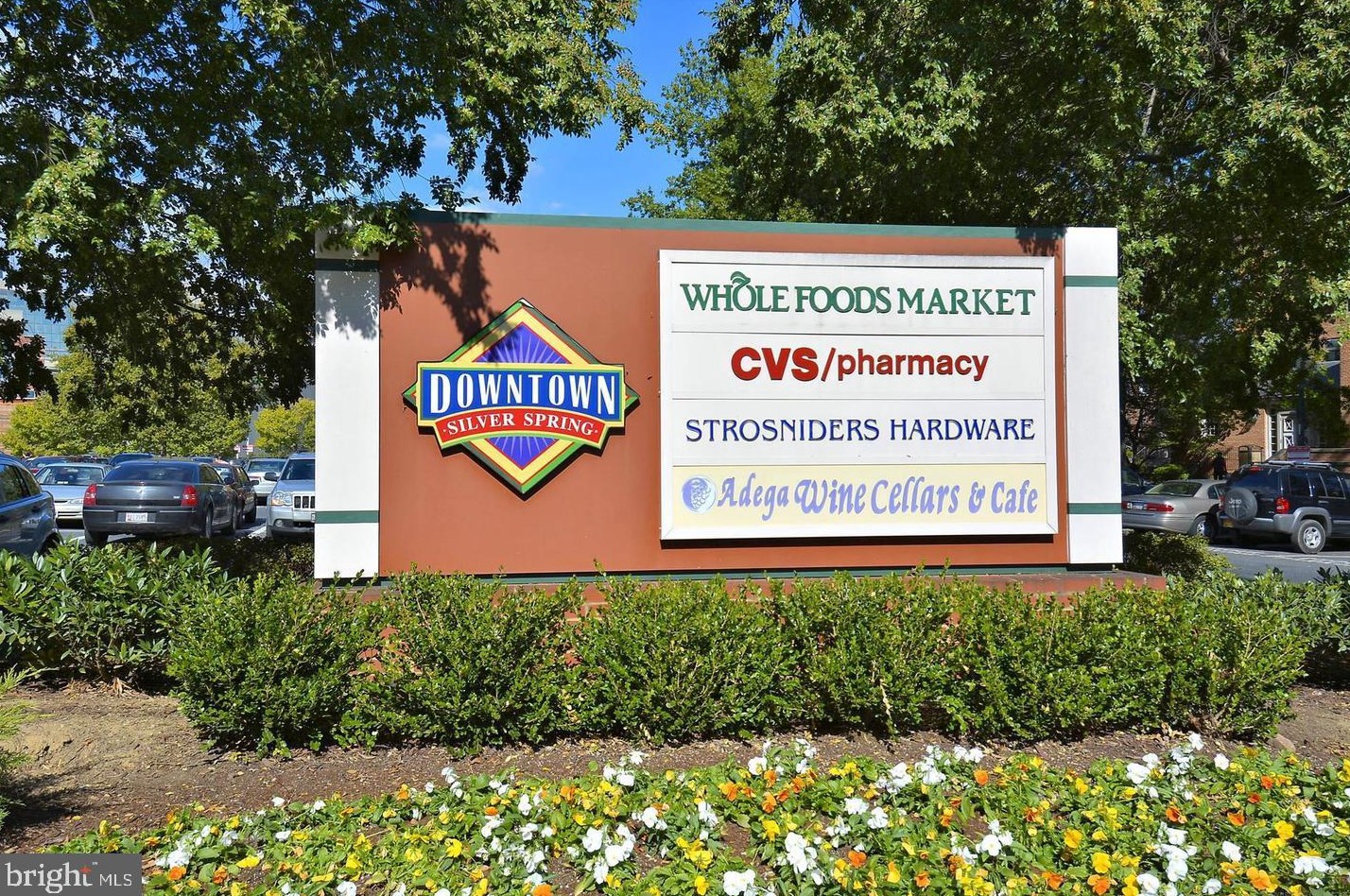 16 Wilcox Ct, Silver Spring MD 20906-5935 exterior