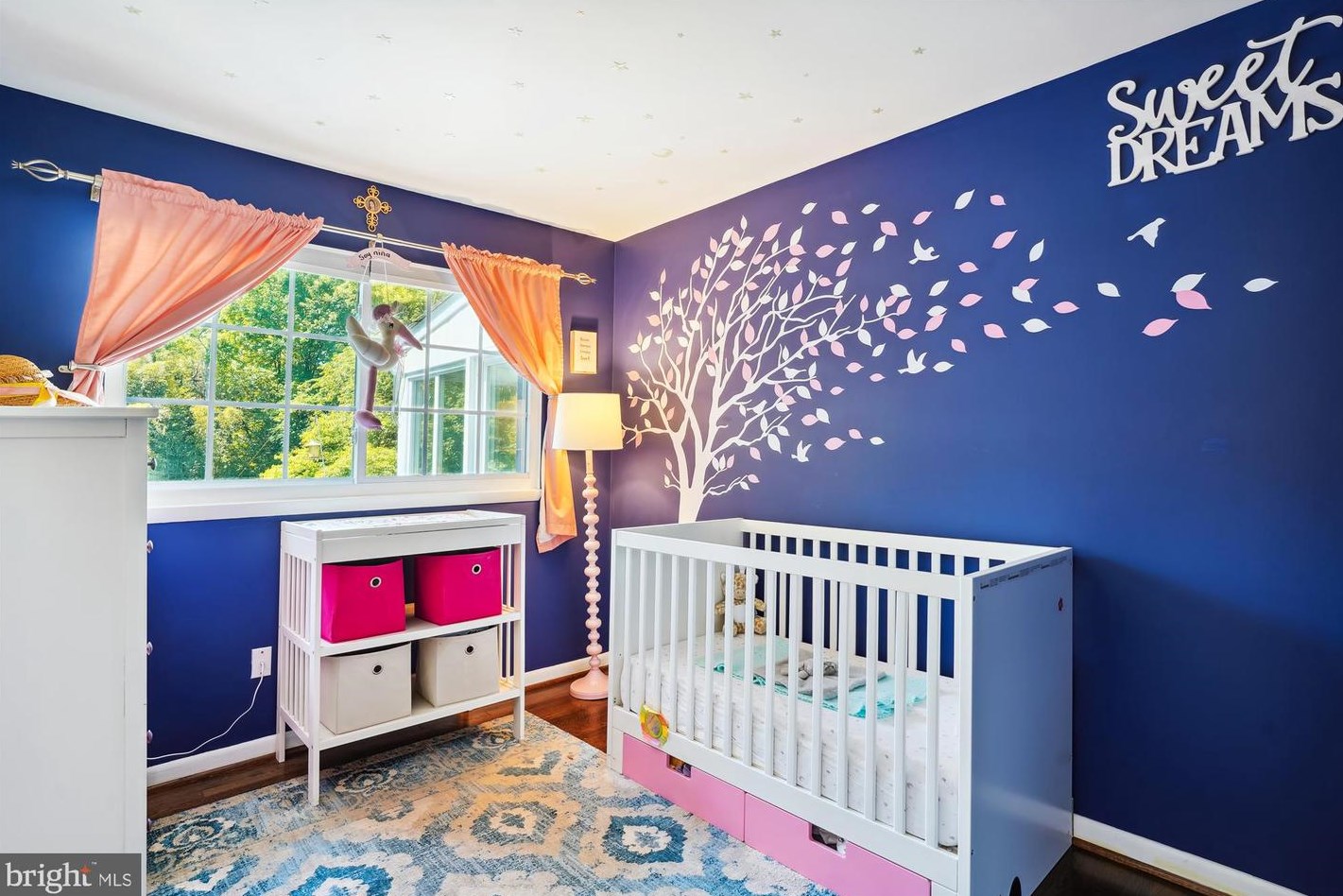 1213 Ednor Rd, Silver Spring MD 20905-5136 exterior