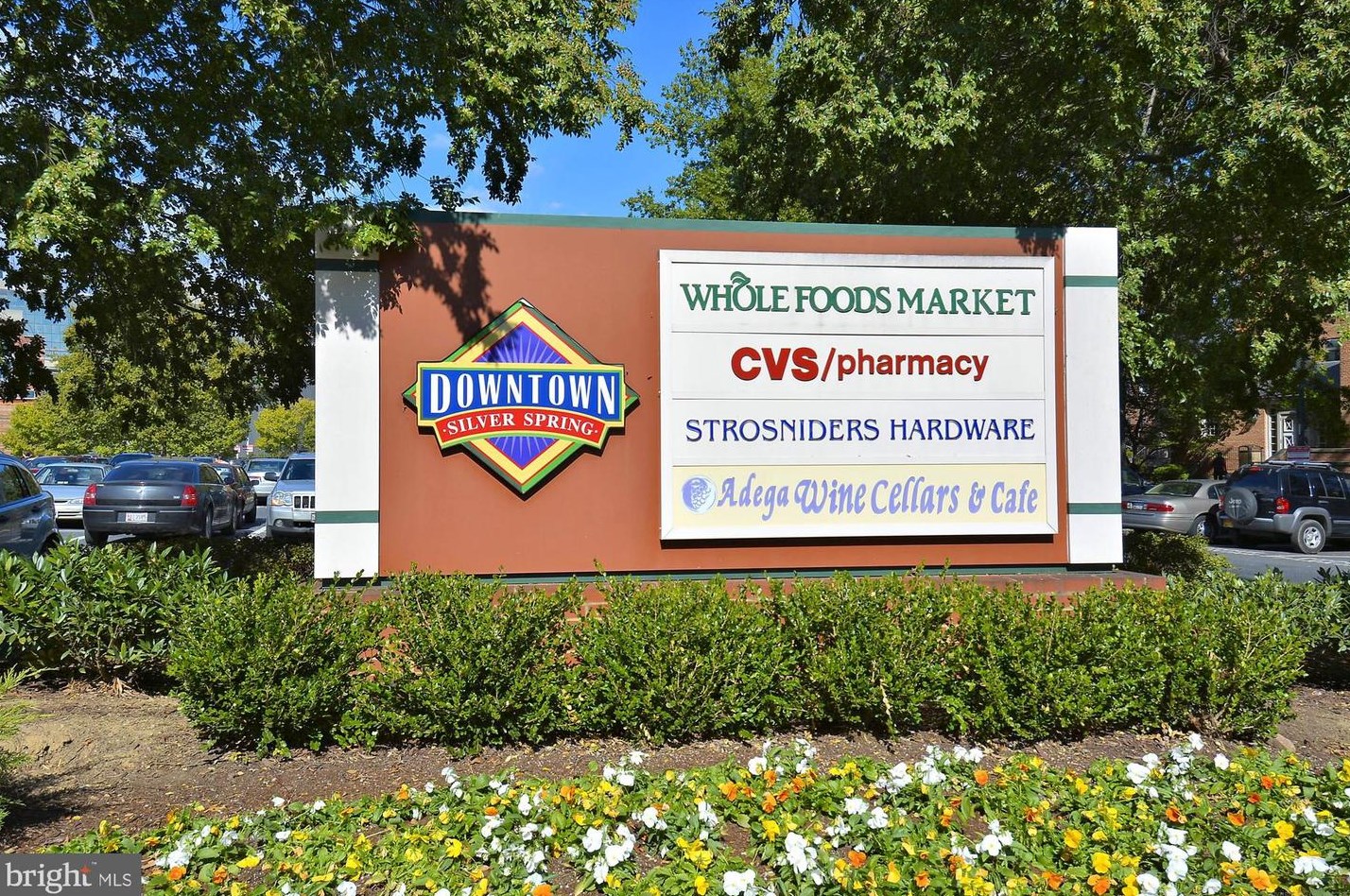 1213 Ednor Rd, Silver Spring MD 20905-5136 exterior