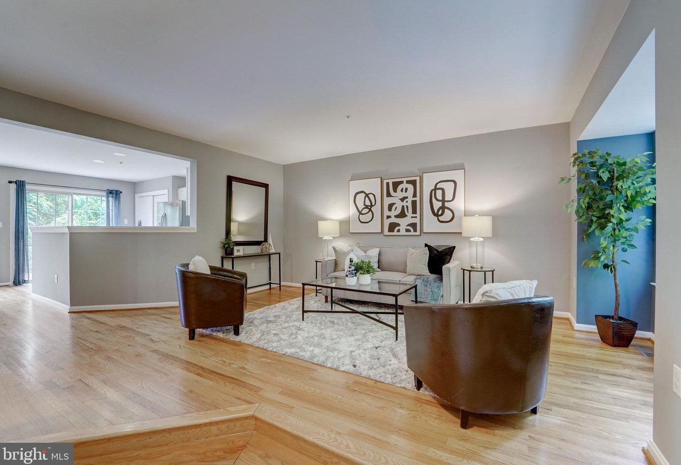 17723 Meadow Vista Way, Gaithersburg, MD 20877-1046