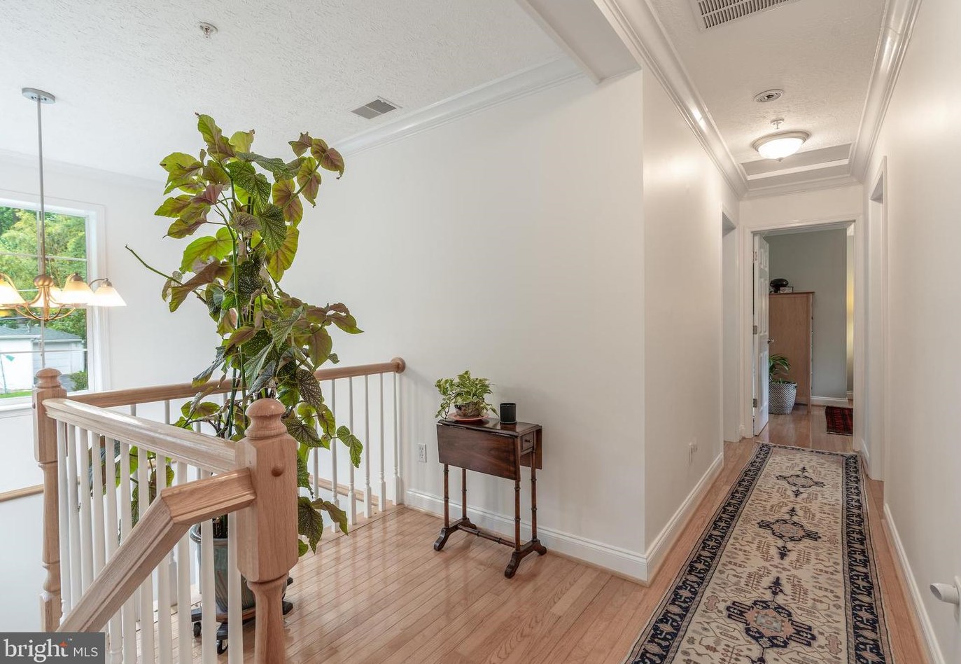 10009 Menlo Ave, Silver Spring MD 20910-1056 exterior