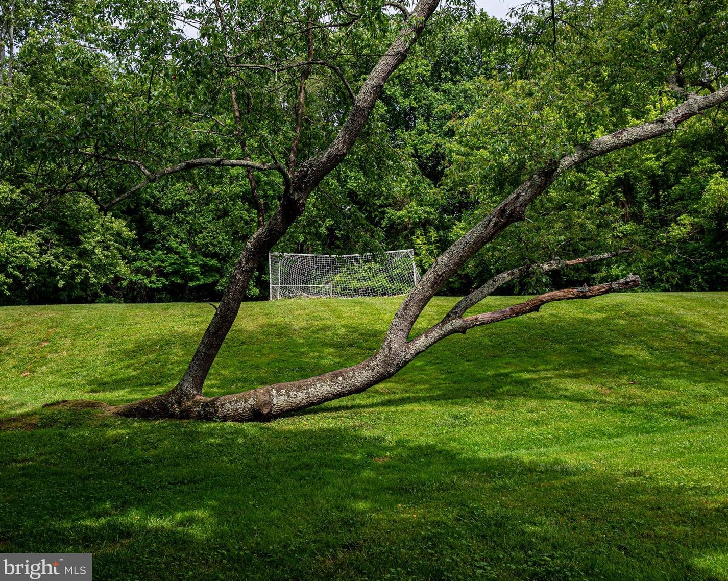 1216 Fallsmead Way, Rockville MD 20854-5549 exterior