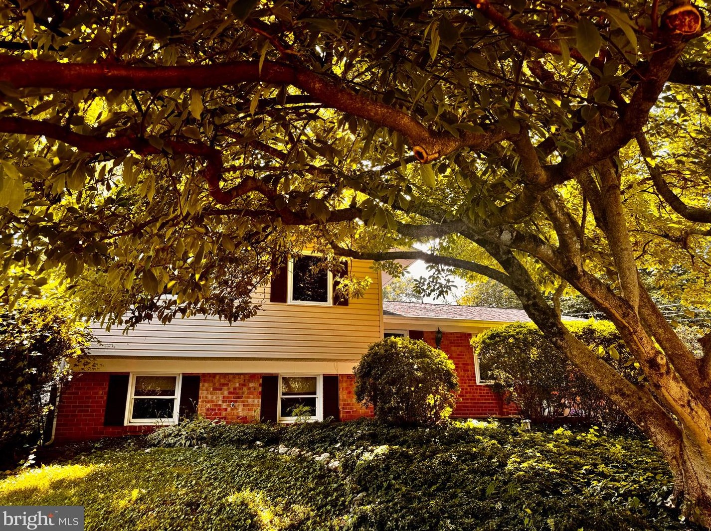 11842 Enid Dr, Rockville MD  20854-3454 exterior