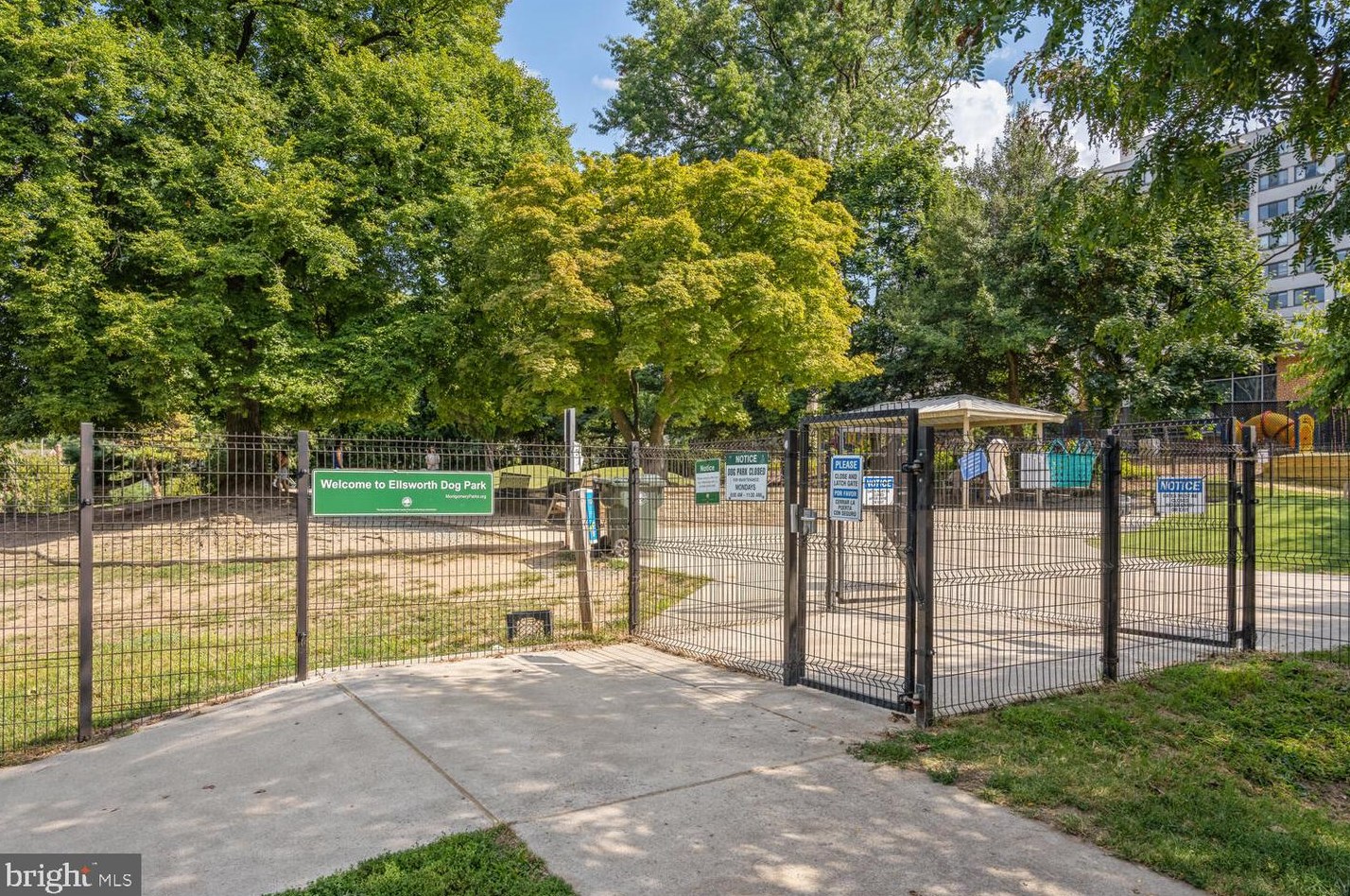 9313 Colesville Rd, Silver Spring MD 20901-4817 exterior