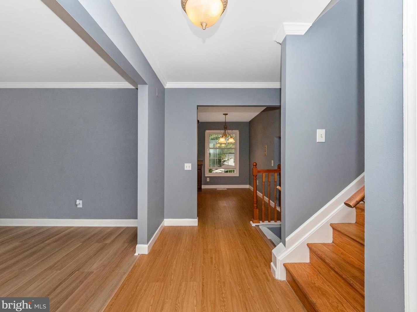 2137 Countryside Dr, Silver Spring MD  20905-4518 exterior