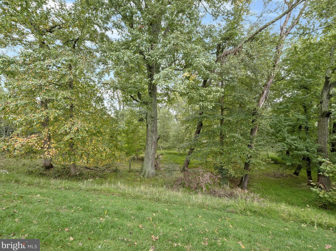 1504 Rabbit Holw Pl, Silver Spring MD 20906-6708 exterior