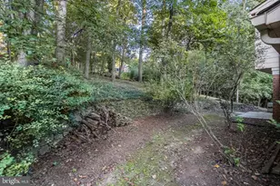 12509 White Dr, Silver Spring, MD 20904 - Photo 52