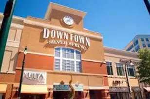 11321 College View Dr, Silver Spring, MD 20902 - Photo 68