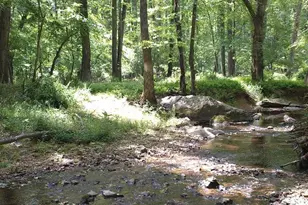 17101 Overhill, Derwood, MD 20855 - Photo 68