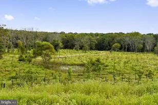 1105 Sweetbay Pl, Silver Spring, MD 20906 - Photo 86