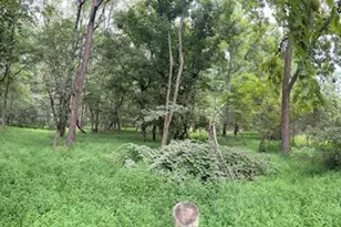 15701 Edwards Ferry Rd, Poolesville, MD 20837 - Photo 8