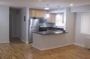 116 Lee Ave, Takoma Park, MD 20912 - Photo 44