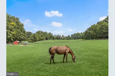 10901 Moxley Road, Damascus, MD 20872 - Photo 8