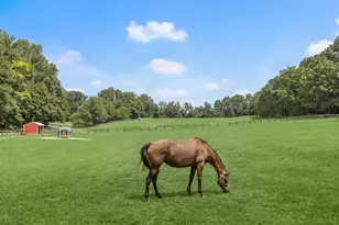 10901 Moxley Rd, Damascus, MD 20872 - Photo 8