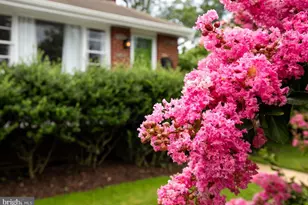 1215 Kirklynn Ave, Takoma Park, MD 20912 - Photo 22