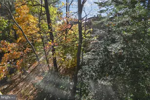 4924 Sentinel Dr, Bethesda, MD 20816 - Photo 6