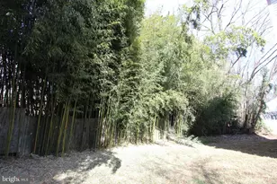 701 Cornwall St, Silver Spring, MD 20901 - Photo 48