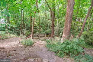 4601 N Park Ave, Chevy Chase, MD 20815 - Photo 40