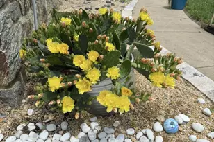 12413 Pueblo Rd, Gaithersburg, MD 20878 - Photo 54