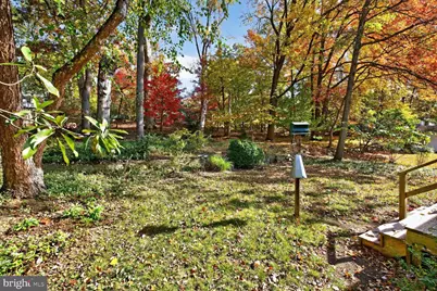 10407 Royal Road, Silver Spring, MD 20903 - Photo 30