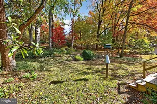 10407 Royal Rd, Silver Spring, MD 20903 - Photo 30