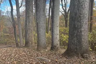 1216 Ashton Rd, Ashton, MD 20861 - Photo 8