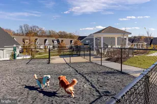 13240 Petrel St, Clarksburg, MD 20871 - Photo 46