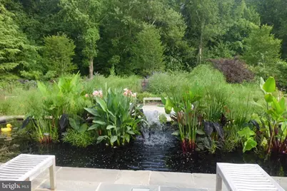 3808 Delano Street, Silver Spring, MD 20902 - Photo 48