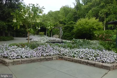 3808 Delano Street, Silver Spring, MD 20902 - Photo 70