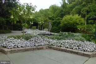 3808 Delano St, Silver Spring, MD 20902 - Photo 70