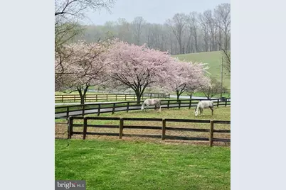 26410 Haines Road, Clarksburg, MD 20871 - Photo 2