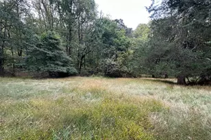 15325 Holly Grove Rd, Silver Spring, MD 20905 - Photo 6