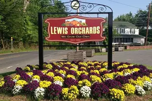 19332 Cissel Manor Dr, Poolesville, MD 20837 - Photo 76