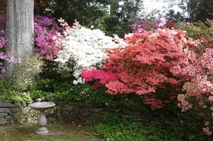 1912 Kimberly Rd, Silver Spring, MD 20903 - Photo 40