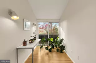 5420 Mohican Rd, Bethesda, MD 20816 - Photo 52