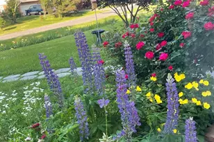 5 Roseneath Ct, Olney, MD 20832 - Photo 20