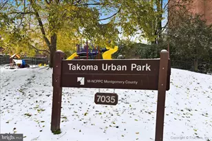 116 Lee Ave, Takoma Park, MD 20912 - Photo 56