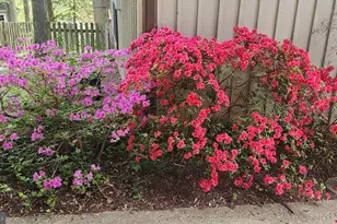 9803 Hill St, Kensington, MD 20895 - Photo 66