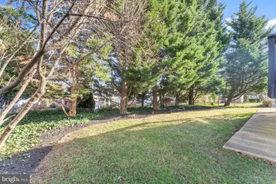 11013 Amherst Avenue, Silver Spring, MD 20902 - Photo 44