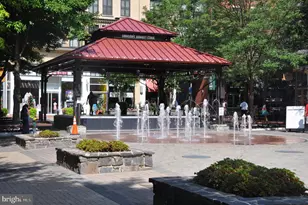 506 Pinewood Rd, Rockville, MD 20850 - Photo 42