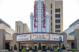 506 Pinewood Rd, Rockville, MD 20850 - Photo 38