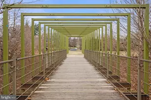 10505 Cascade Pl, Silver Spring, MD 20902 - Photo 32