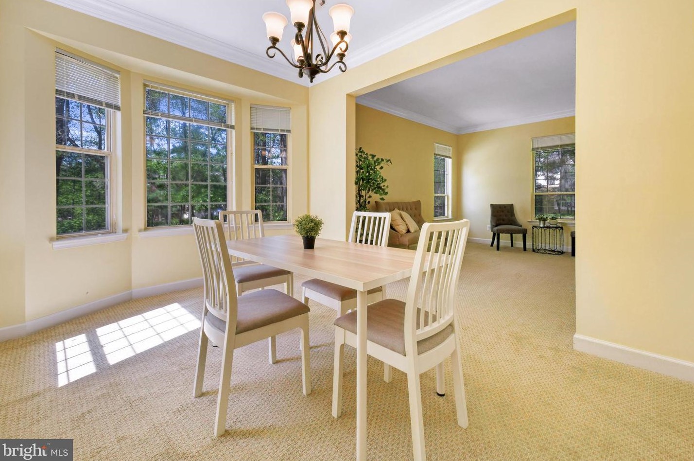 8700 Laurel Valley Ln, Gaithersburg MD  20886-5666 exterior