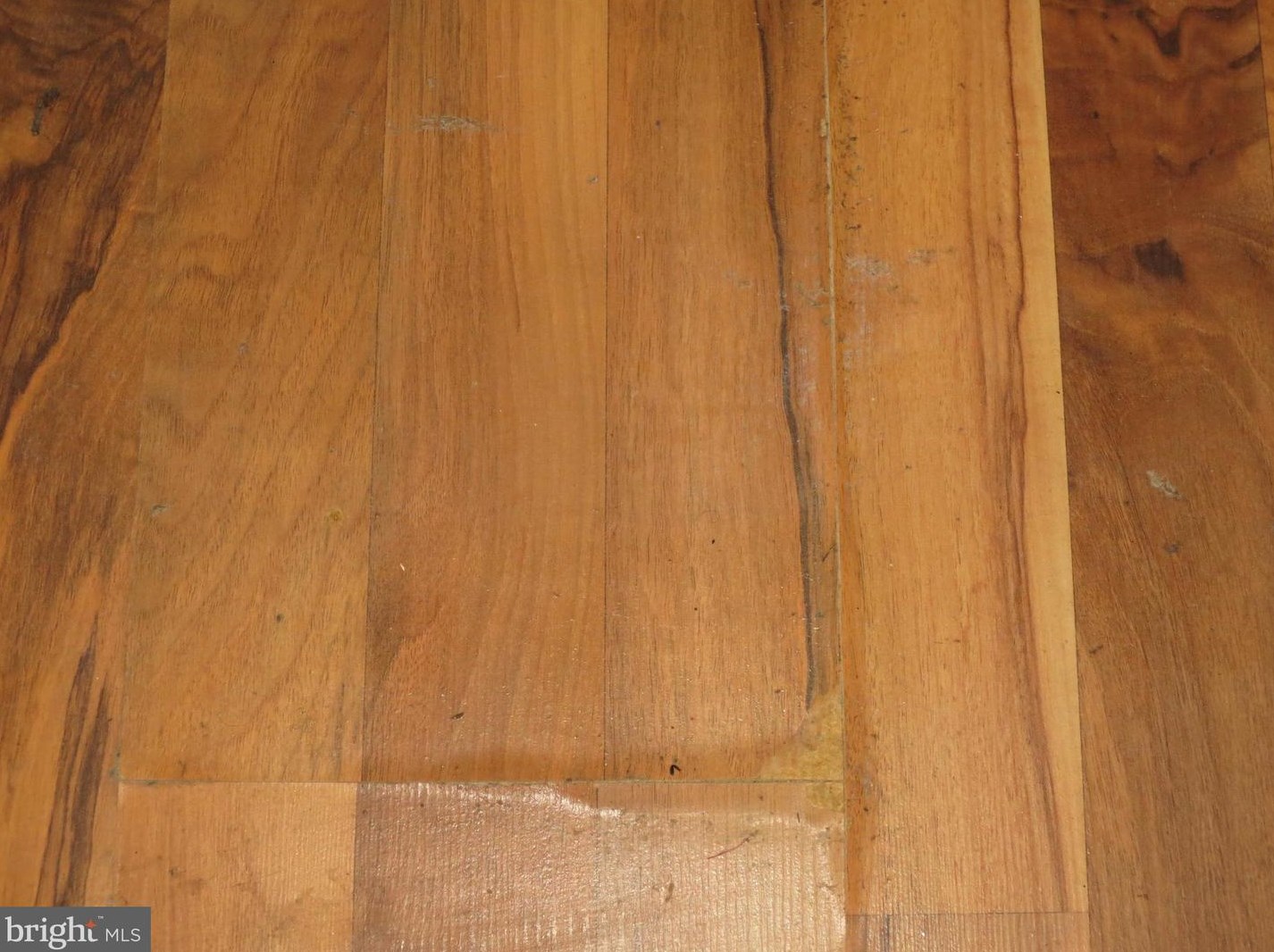 10716 Dragoo Pl, Clinton MD 20735-3912 exterior