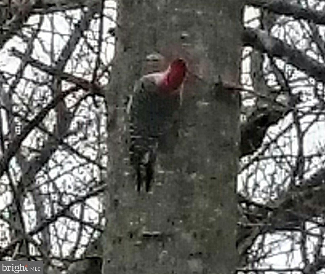 143 Farmington Rd, Accokeek MD 20607-9758 exterior