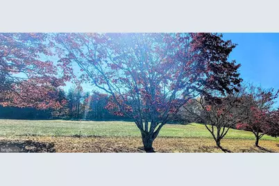 Magruders Ferry Road #PARCEL C, Brandywine, MD 20613 - Photo 18
