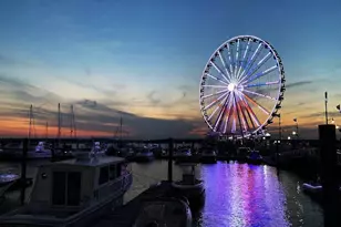 8502 Waco Dr, Fort Washington, MD 20744 - Photo 4